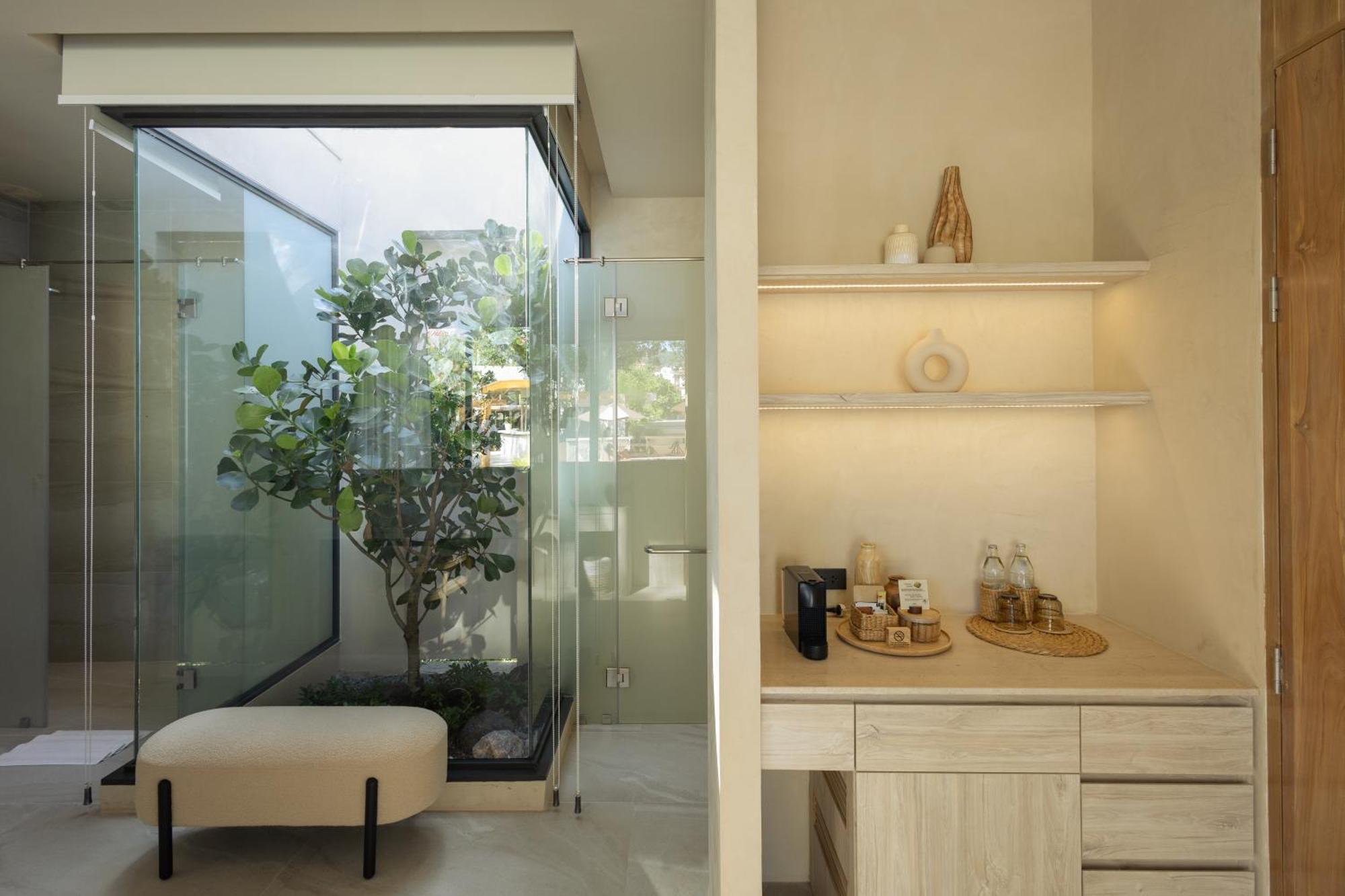 Oasis Suite with Pool Access,1662983642:JPEG