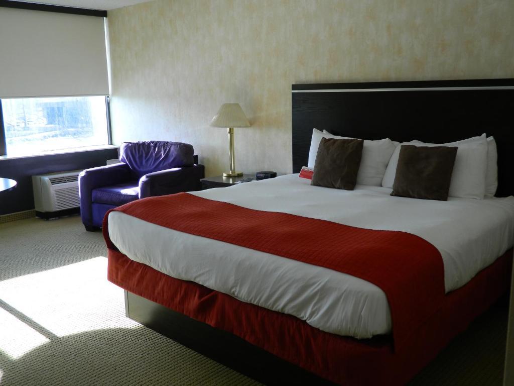 Deluxe Suite (6 Erwachsene)