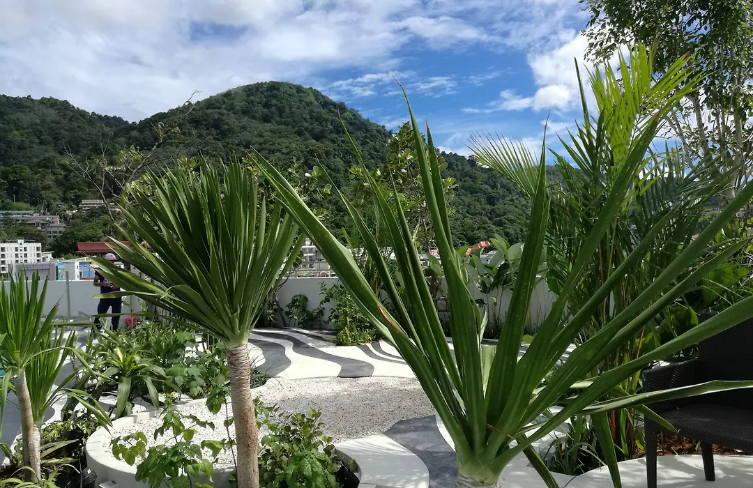 Mercure Phuket Patong Journeyhub-1