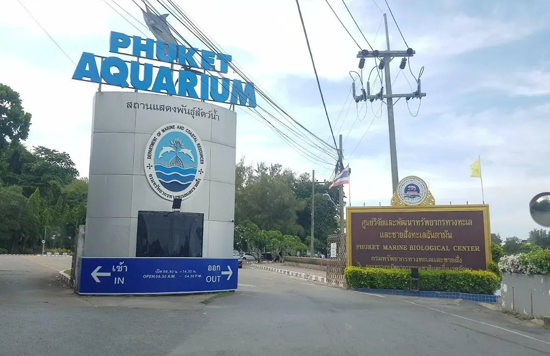 Spacious Apartment With Ocean View In Panwa-1